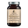 Certyfikowany Różeniec Górski adaptogen na koncentrację 215 mg Rhodiola Rosea
