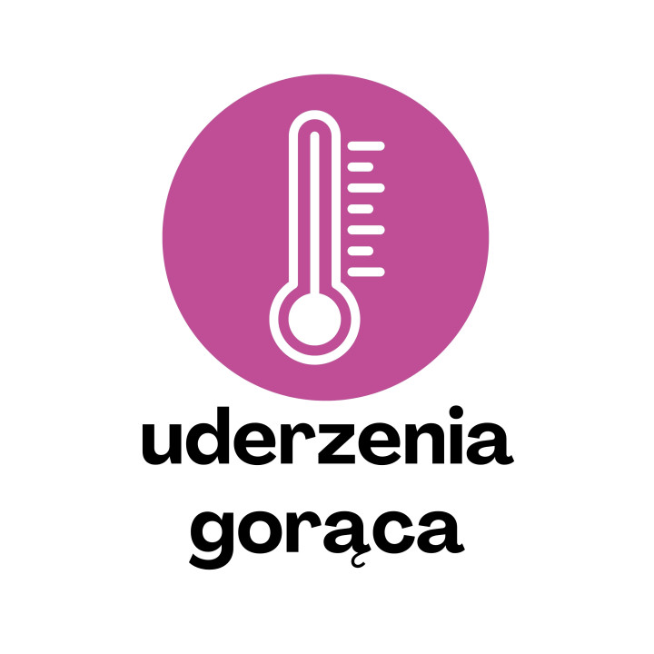 Menopausis FORTE na menopauzę 100 kapsułek koniczyna czerwona szyszki chmielu