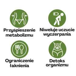 Architekt Max odchudzanie FAT BURNER  Spalacz tłuszczu Metabolizm