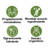 Architekt Max odchudzanie FAT BURNER  Spalacz tłuszczu Metabolizm