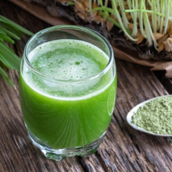 Młody jęczmień ekologiczny naturalny w proszku POLSKI bez GMO błonnik białko