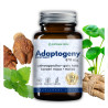 Adaptogeny EXTRAKT 10:1 Ashwagandha 5% gotu kola maca melisa