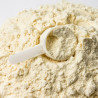 Certyfikowane Białko WPC 80 naturalne białko z BCAA