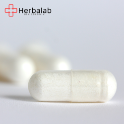 Herbalab Magnez organiczny + witamina B6 - 100 kapsułek
