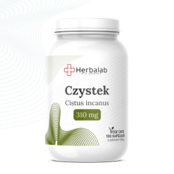 Czystek Cistus incanus 310 mg vege caps 100 kapsułek