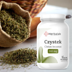 Czystek Cistus incanus 310 mg vege caps 100 kapsułek