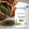 Czystek Cistus incanus 310 mg vege caps 100 kapsułek