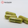 Czystek Cistus incanus 310 mg vege caps 100 kapsułek