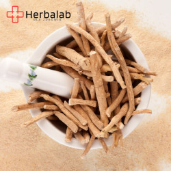 Ashwagandha Korzeń żeń-szeń indyjski 100 kapsułek